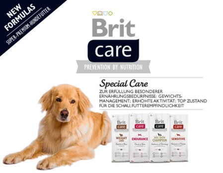 Brit Petfood Webseite