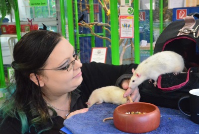 Melanie Oumar´d mit ihren Ratten