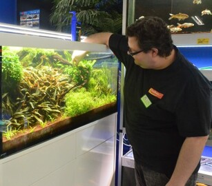 Daniel Radmann bei der Aquariumpflege