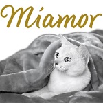 ”miamor”